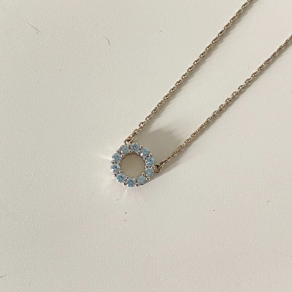 Rhinestone Circle Necklace